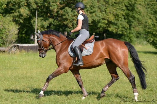 Bild einer Reiterin auf einem Pferd